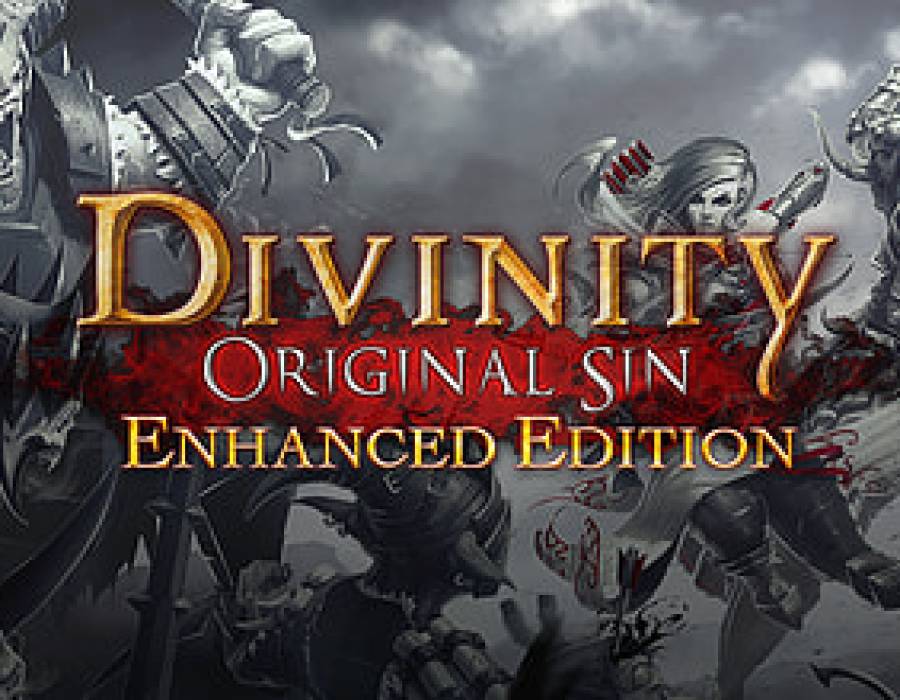 divinity_original_sin_enhanced_edition.jpg