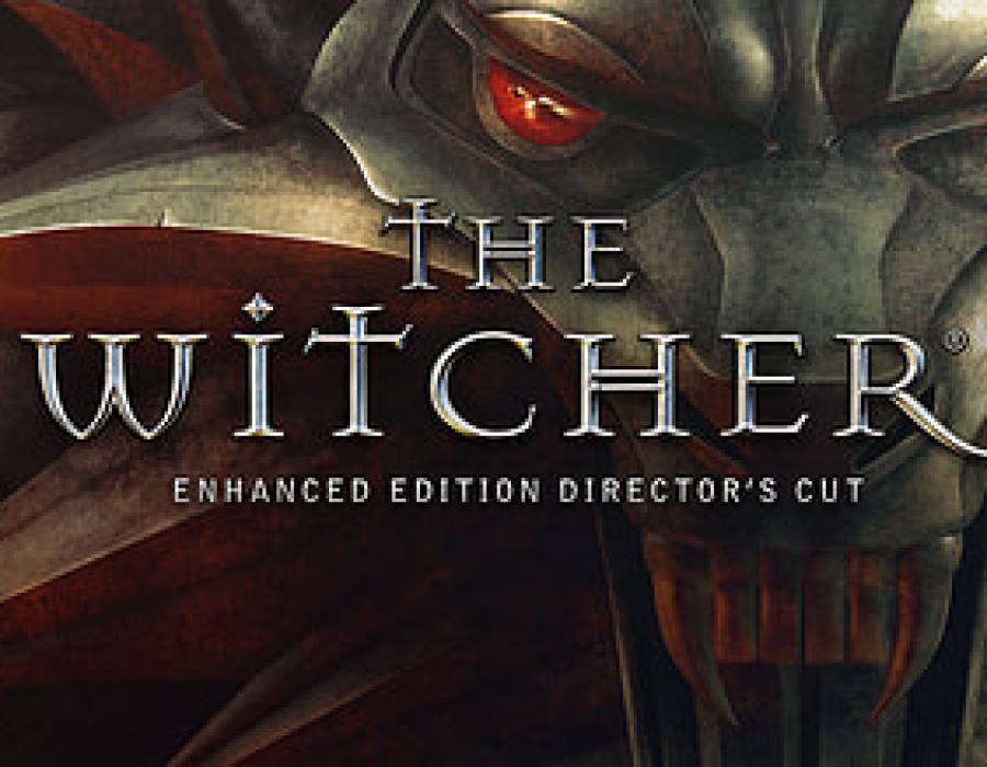 the_witcher.jpg